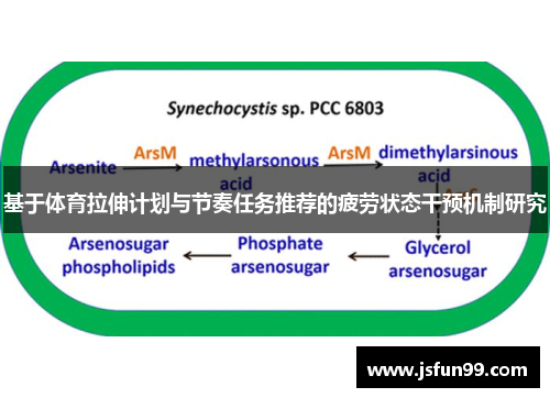基于体育拉伸计划与节奏任务推荐的疲劳状态干预机制研究